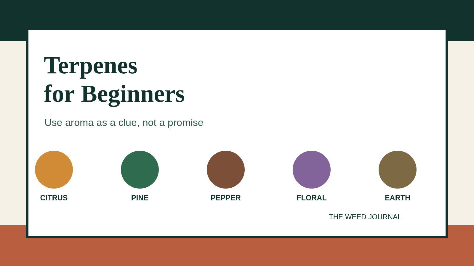 Editorial graphic for a Canadian beginner guide to cannabis terpenes, showing aroma cues such as citrus, pine, pepper, floral, and earth